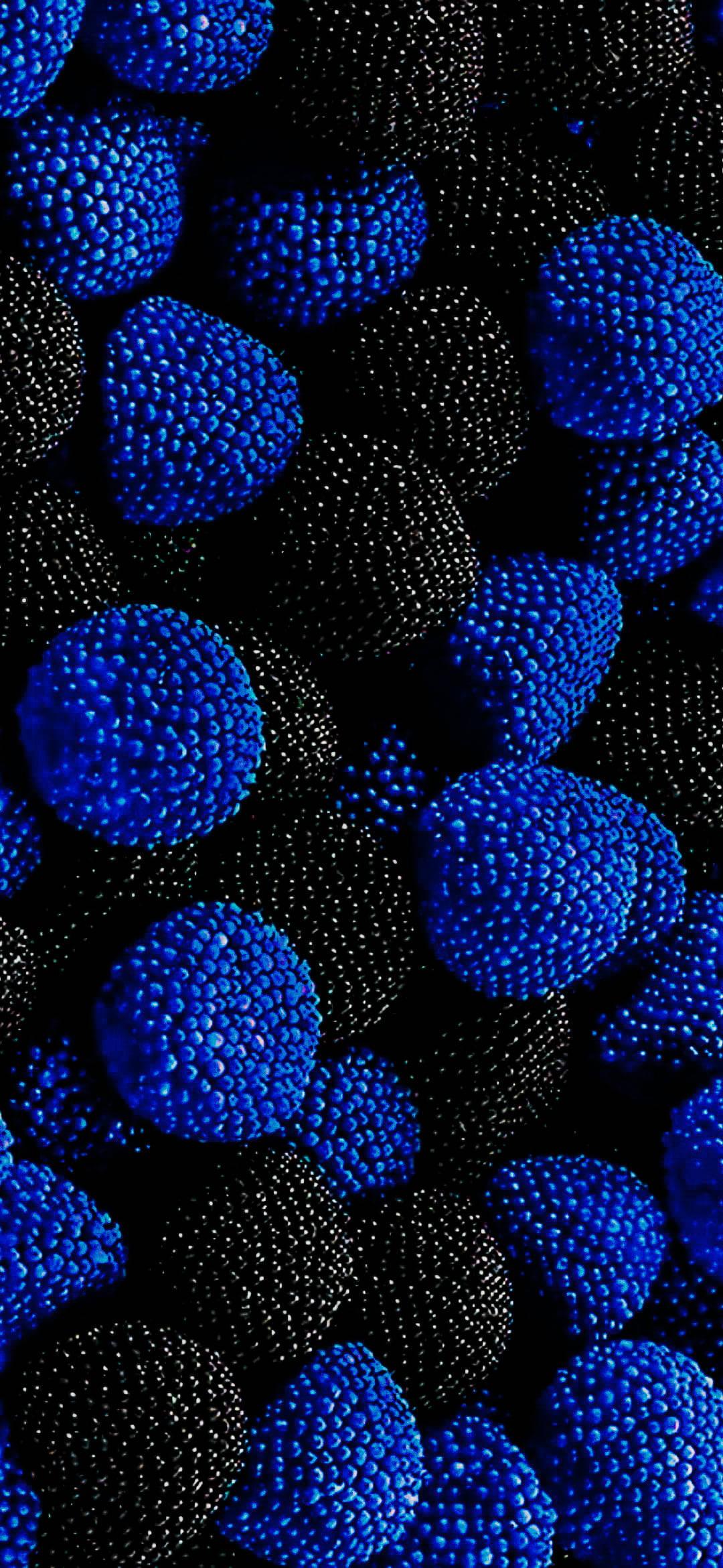 Blue And Black Berries On Samsung Full HD — 1080x2340 wallpaper