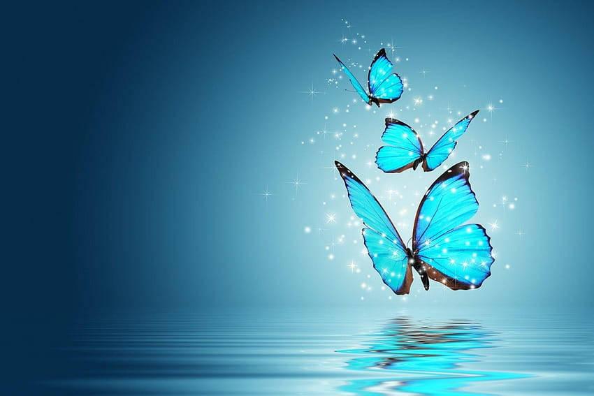 Blue Butterflies Full Desktop Screen Hd — 850x567 wallpaper