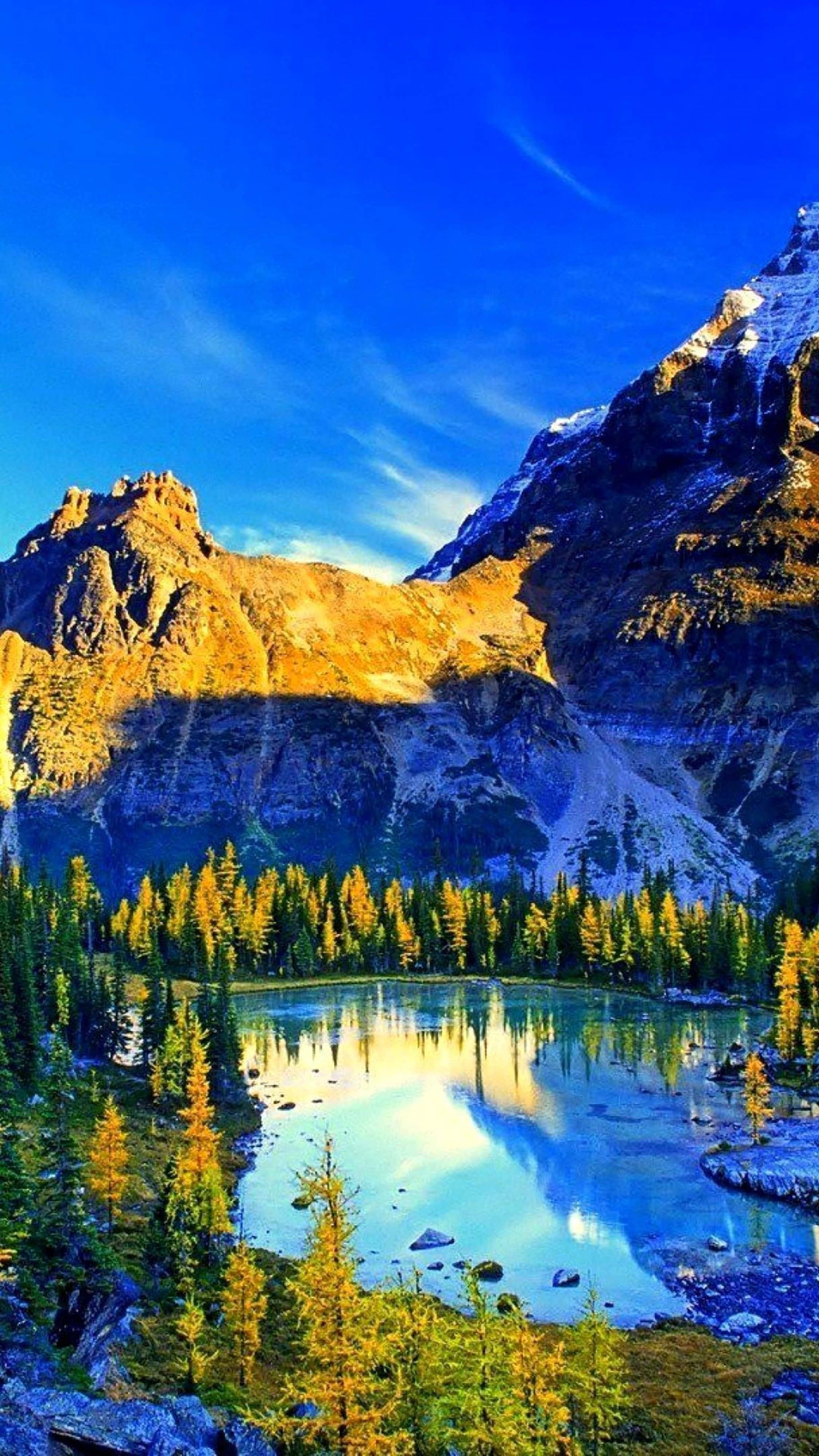 Blue Skies Nature 4K iPhone — 2250x4000 wallpaper