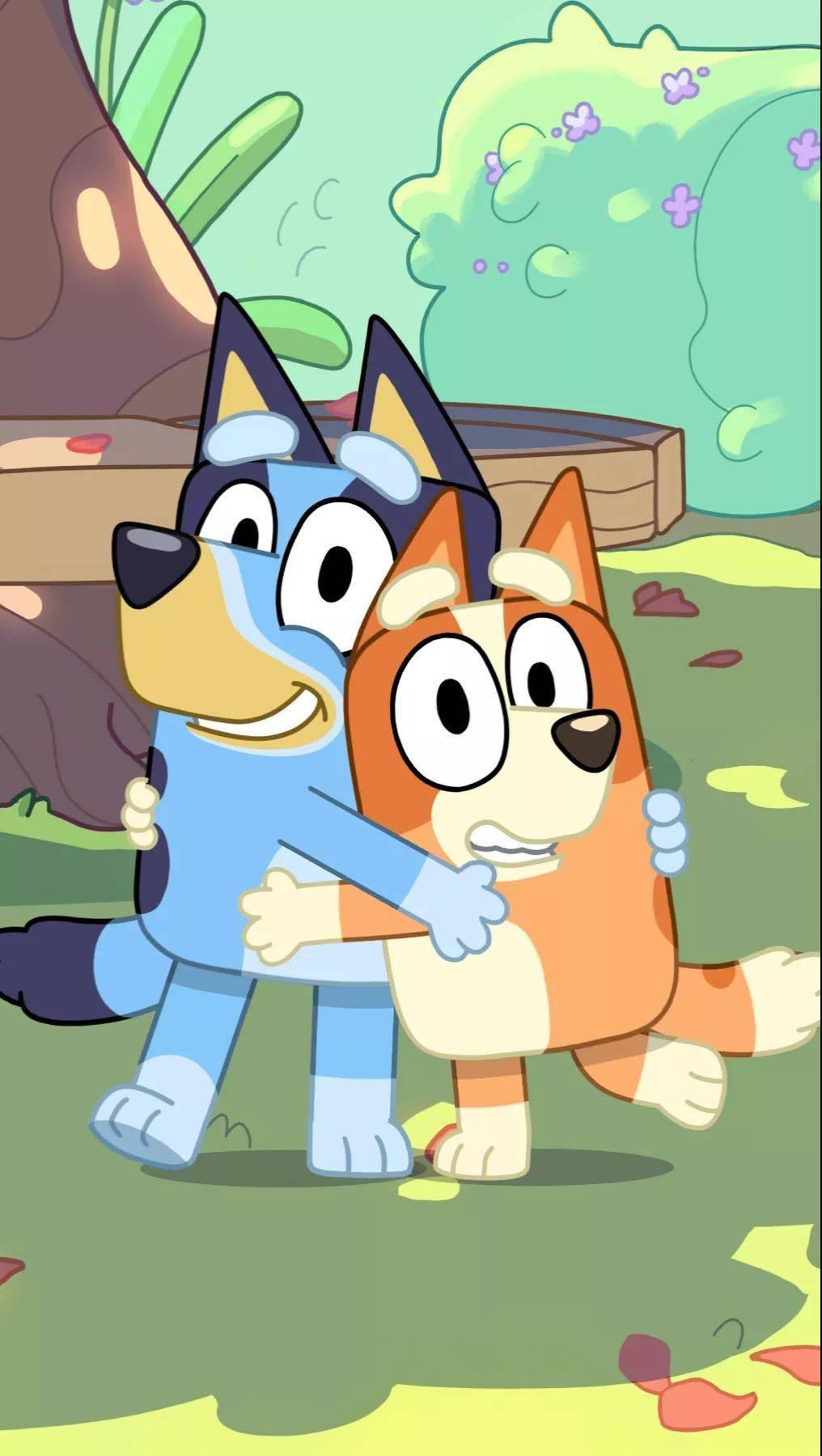 Bluey And Bingo Hugging Each Other — 1016x1800 wallpaper