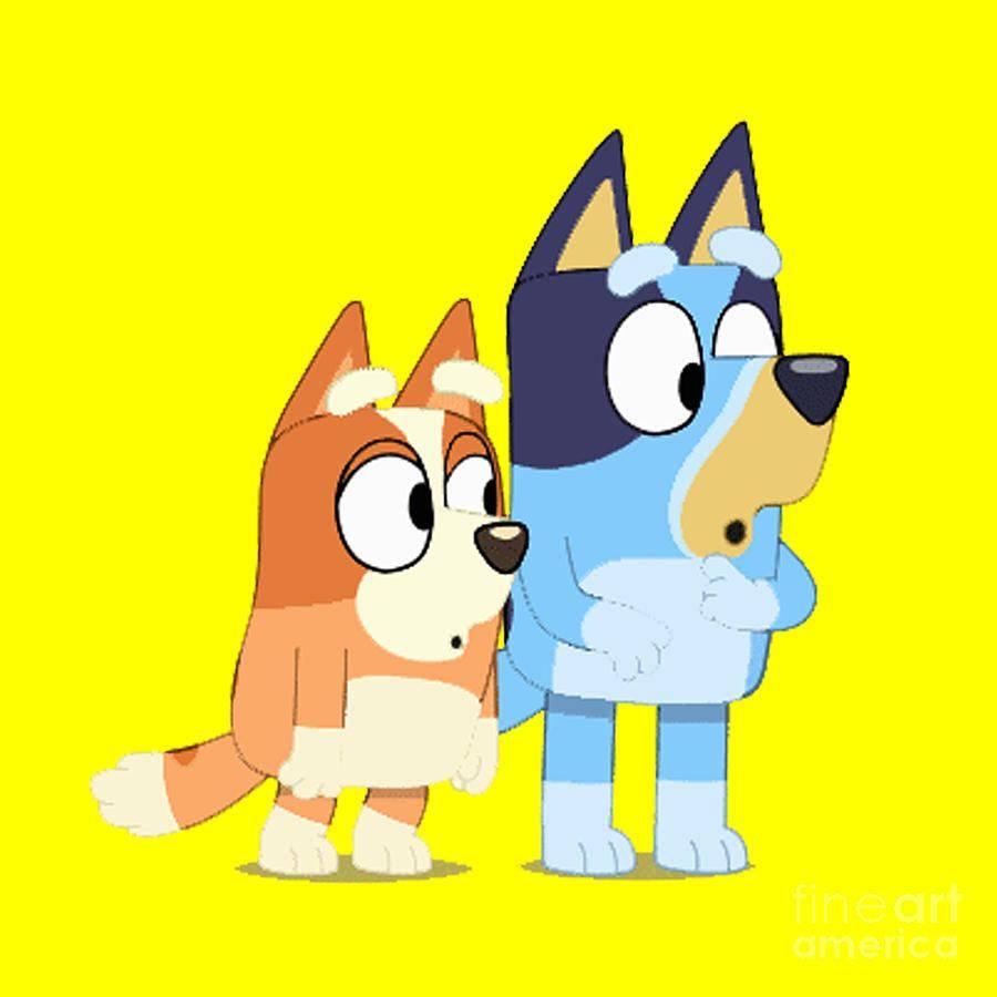Bluey And Bingo Looking Curious Yellow — 900x900 wallpaper