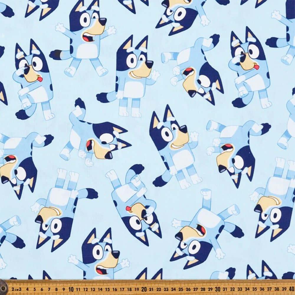 Bluey Welcomes You — 1000x1000 wallpaper