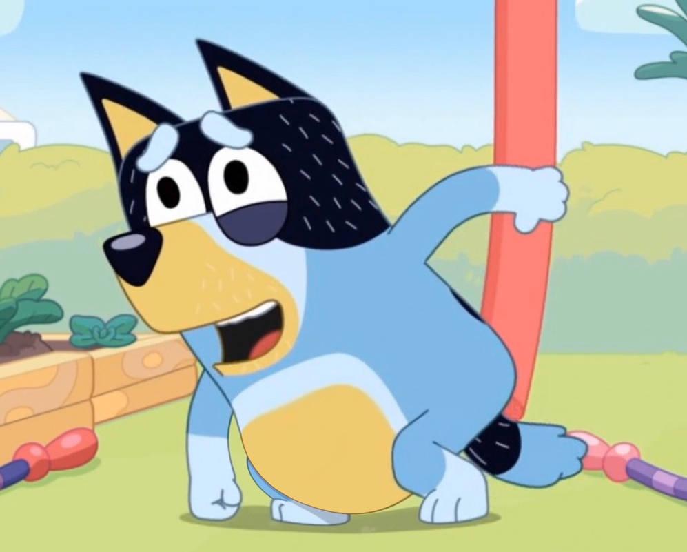 Bluey's Dad Bandit Looking Tired — 997x801 wallpaper
