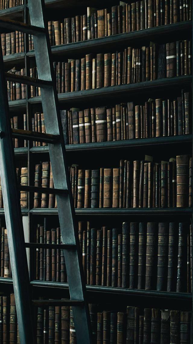 Books And Ladder iPhone Dark — 640x1136 wallpaper
