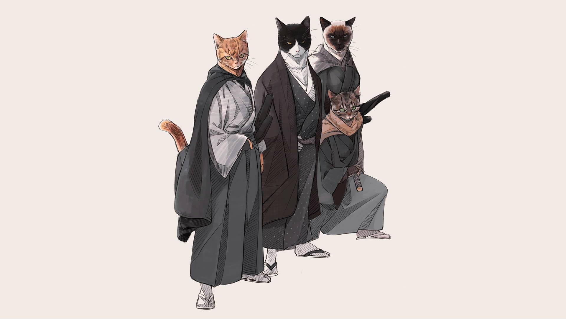 Brave Samurai Cat — 1920x1081 wallpaper
