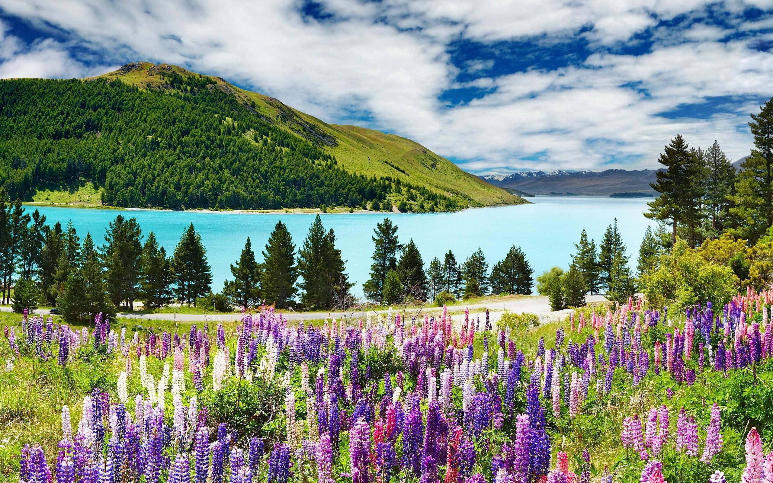 Breathtaking mountain skyline — 2560x1600 wallpaper