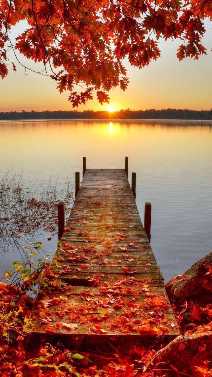 Bridge Red Leaves Fall IPhone — 736x1309 wallpaper