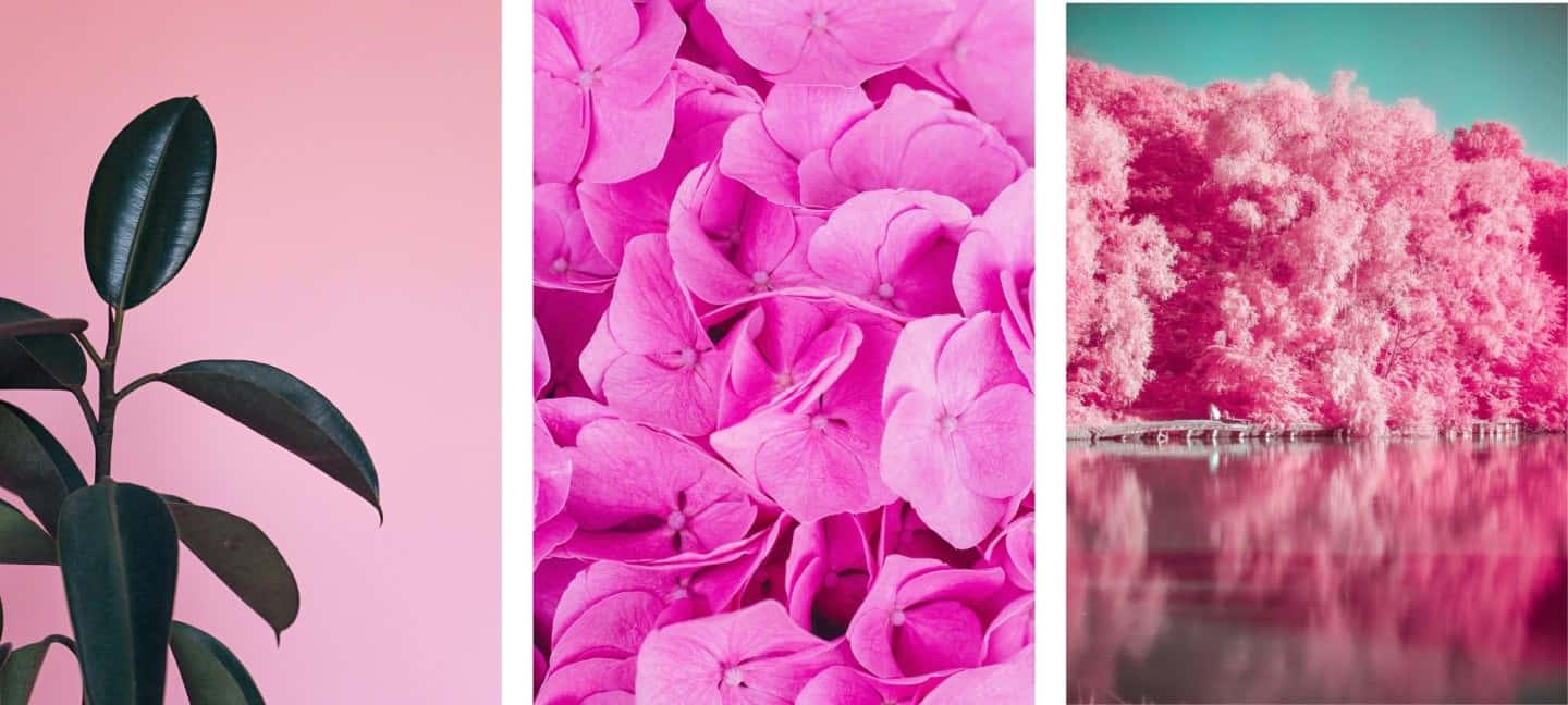 Brighten up your day with this pink cool aesthetic — 1440x648 wallpaper