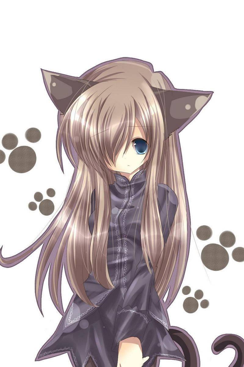 Brown Cat Cute Anime Girl iPhone — 800x1200 wallpaper
