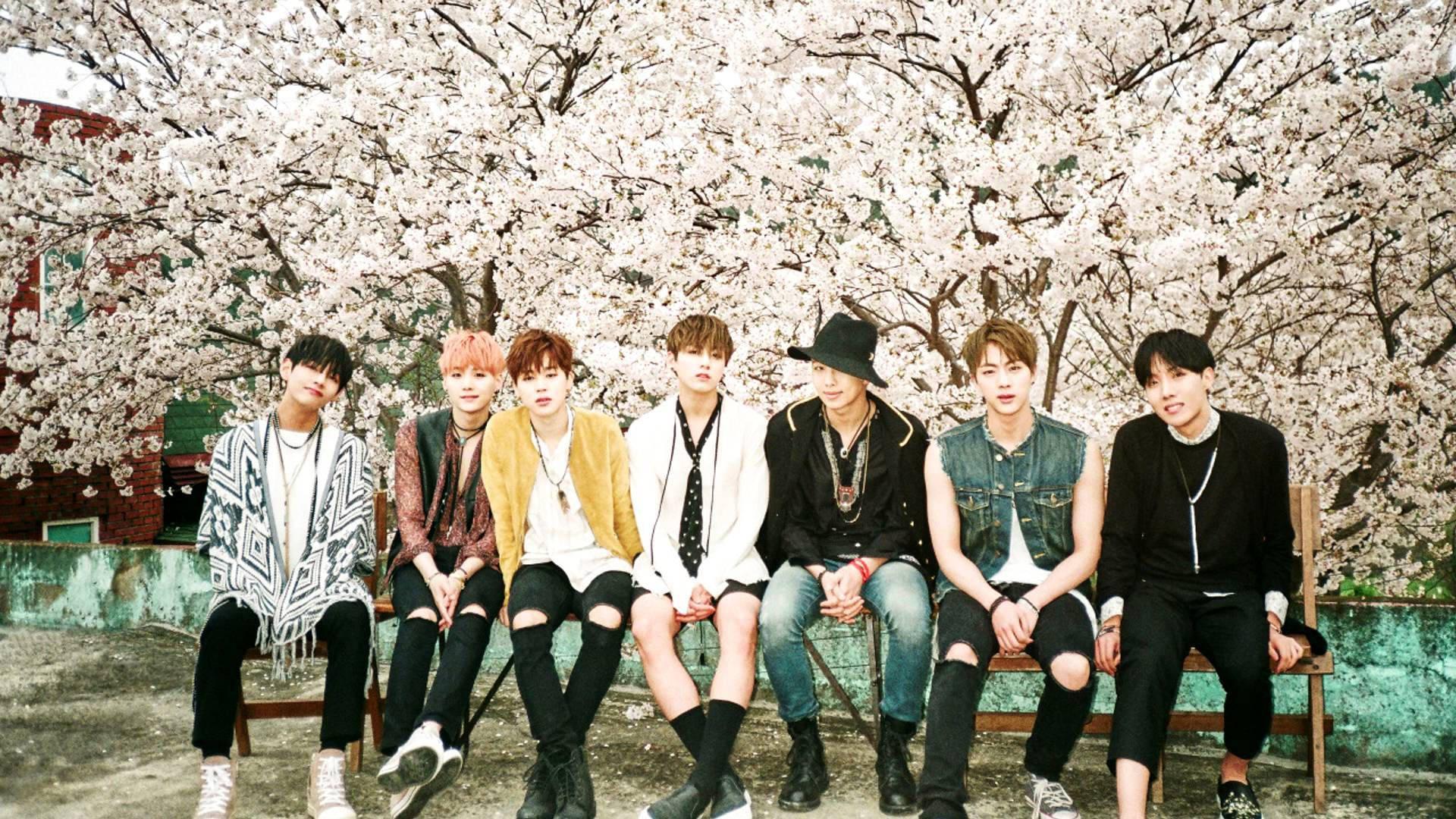 BTS Soak In the Beauty of Cherry Blossoms