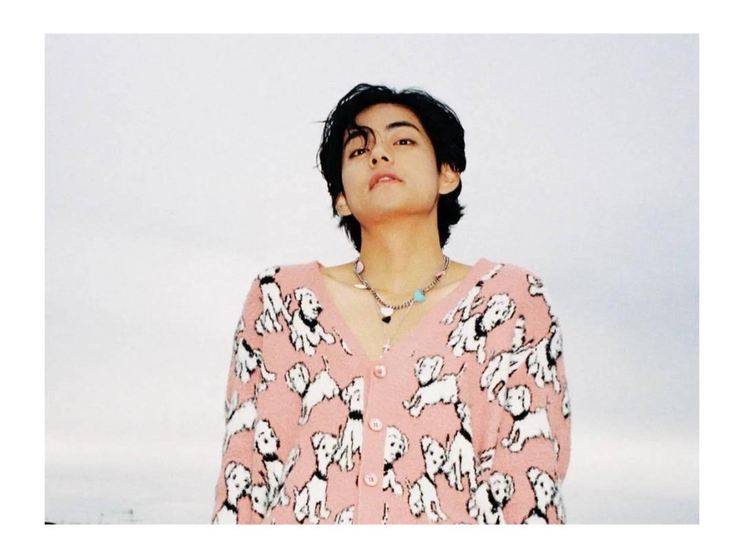 BTS V In Pink Puppy Cardigan — 1080x810 wallpaper