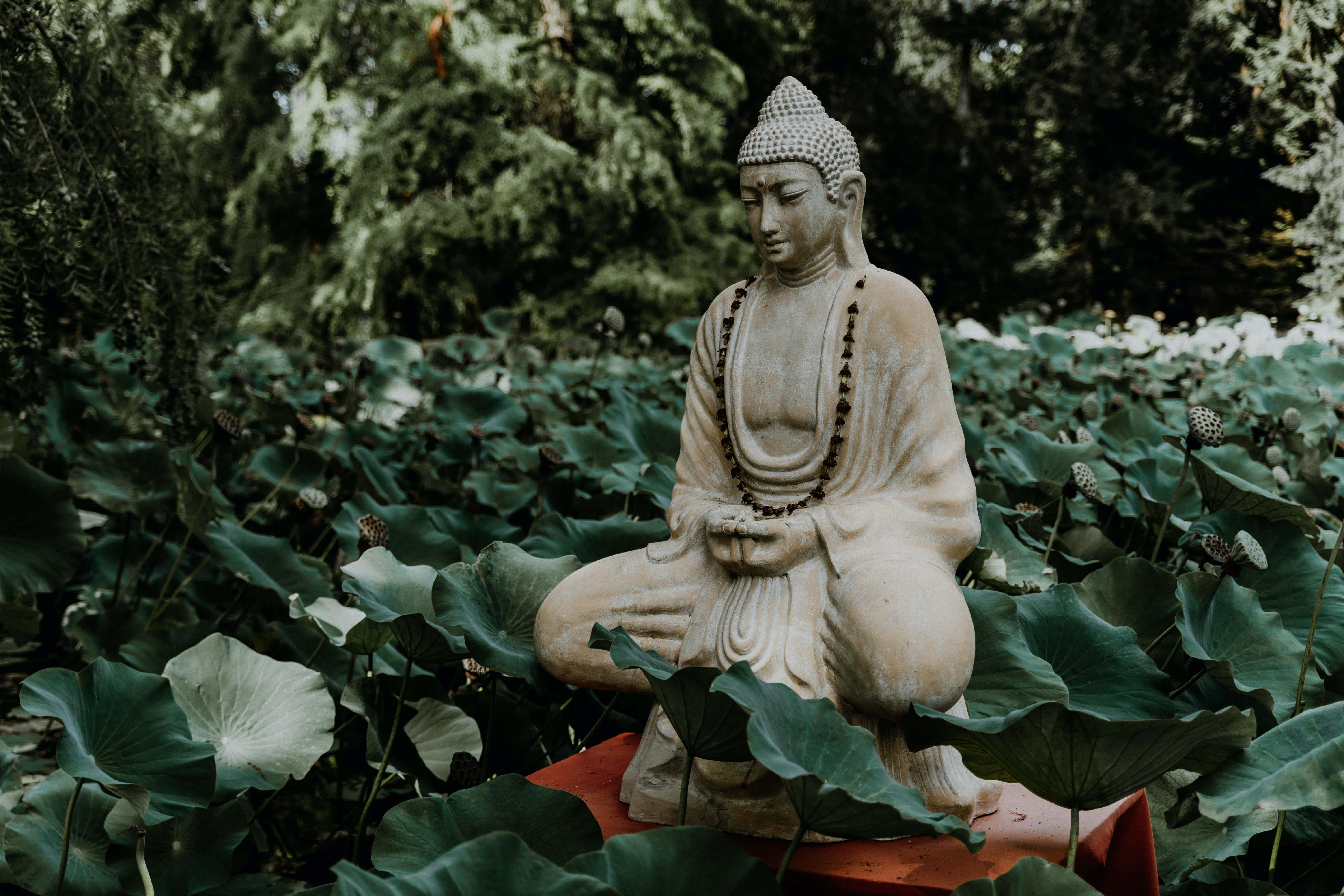 Buddha Enlightenment — 6000x4000 wallpaper