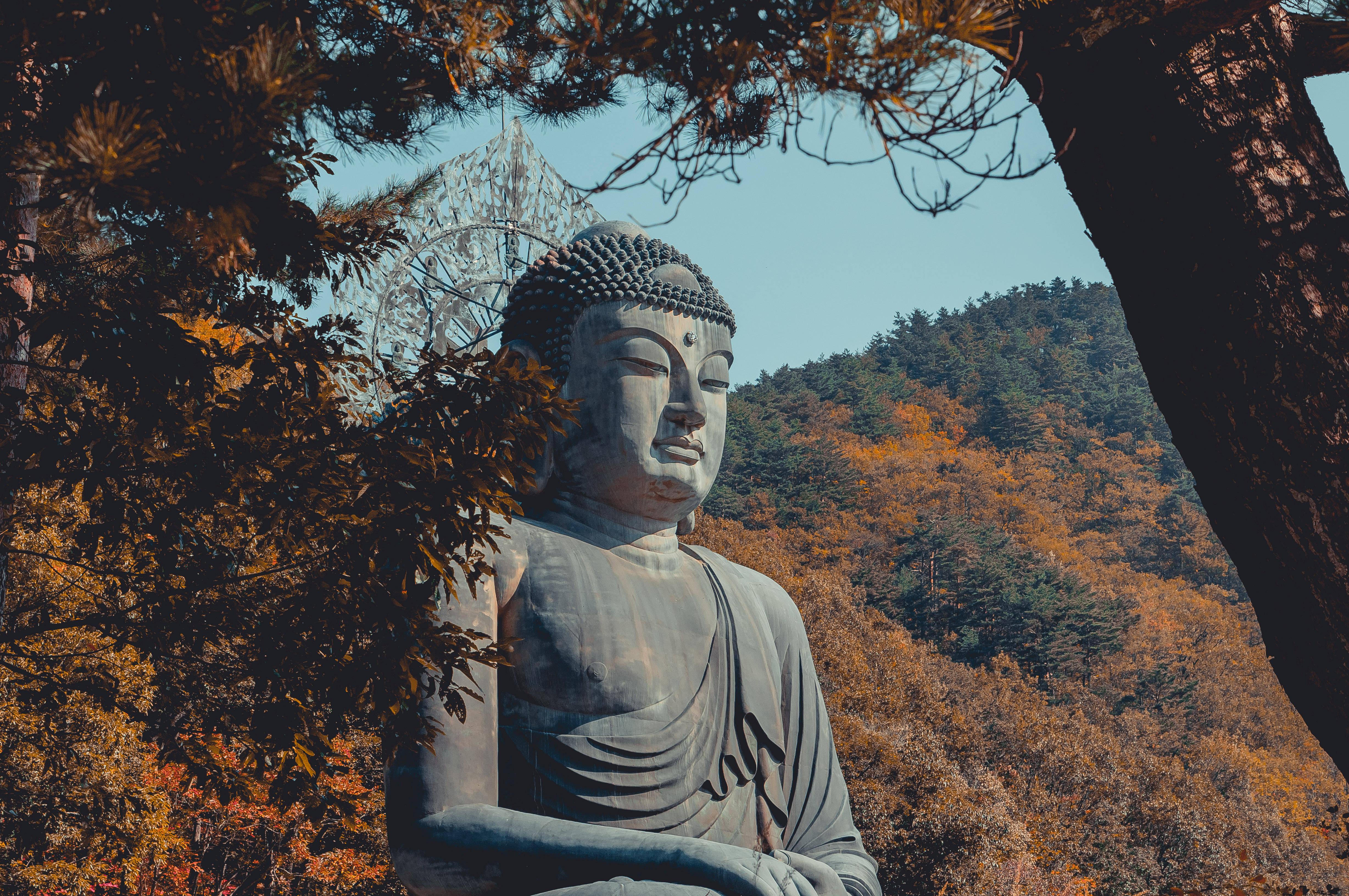 Buddha Statue Behind Trees — 4912x3264 wallpaper