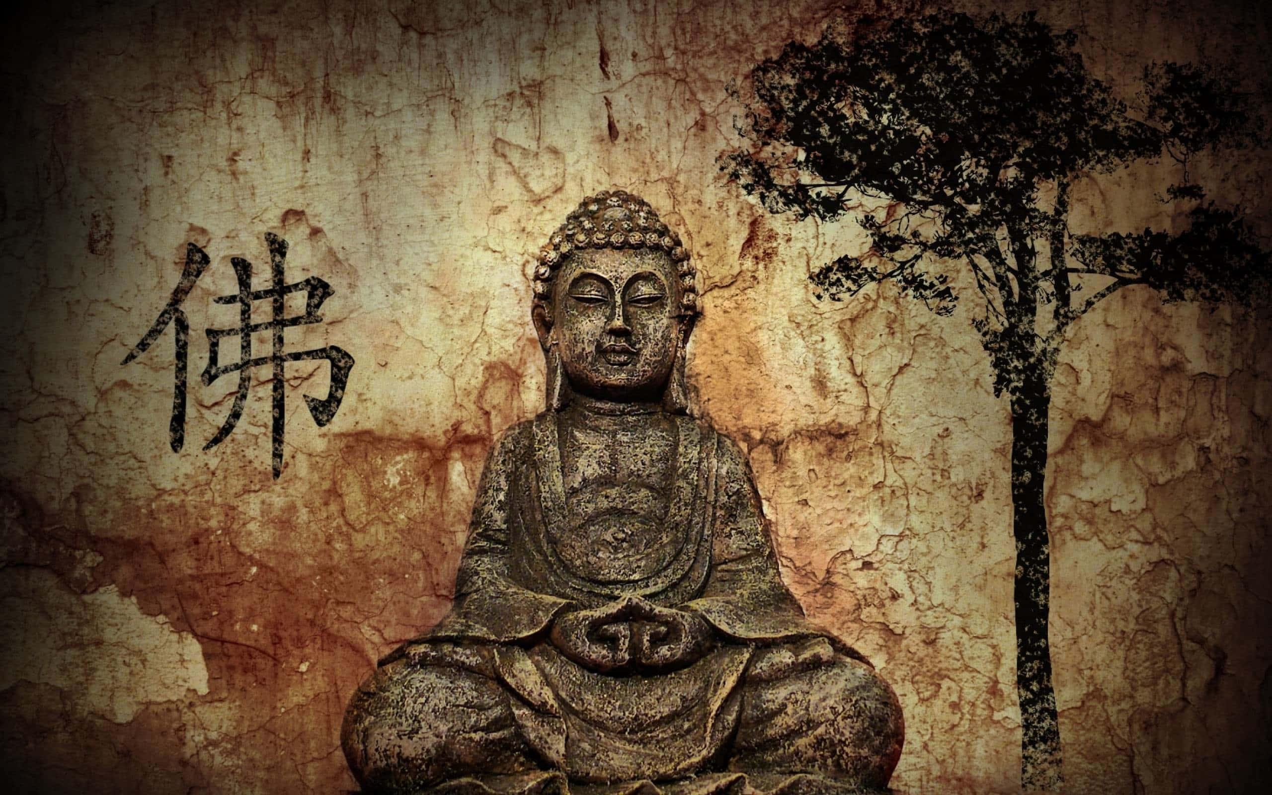 buddha statue with tree and chinese writing — 2560x1600 wallpaper