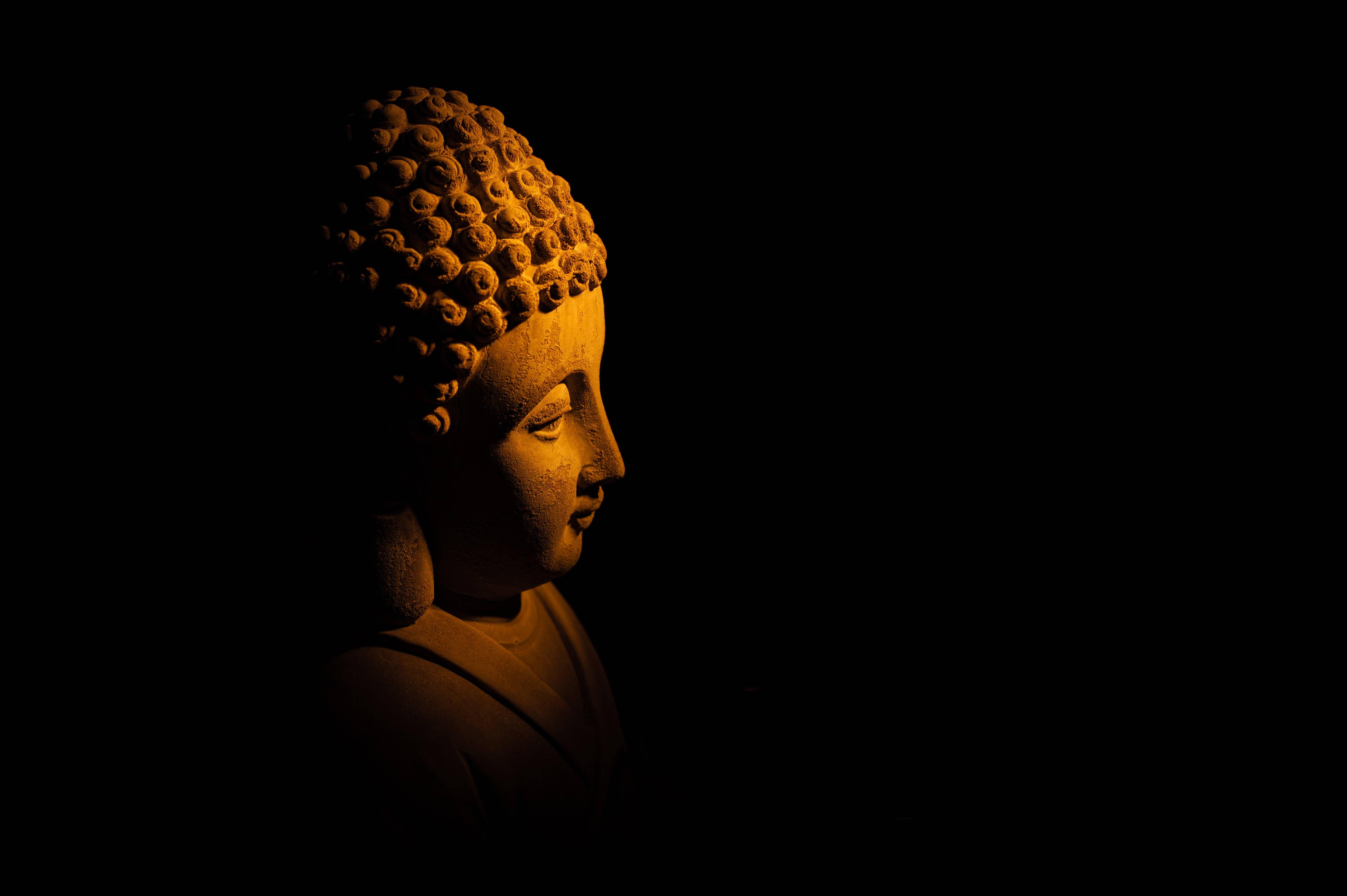 Buddhists seek enlightenment through meditation, following the path of Buddha. — 4785x3184 wallpaper