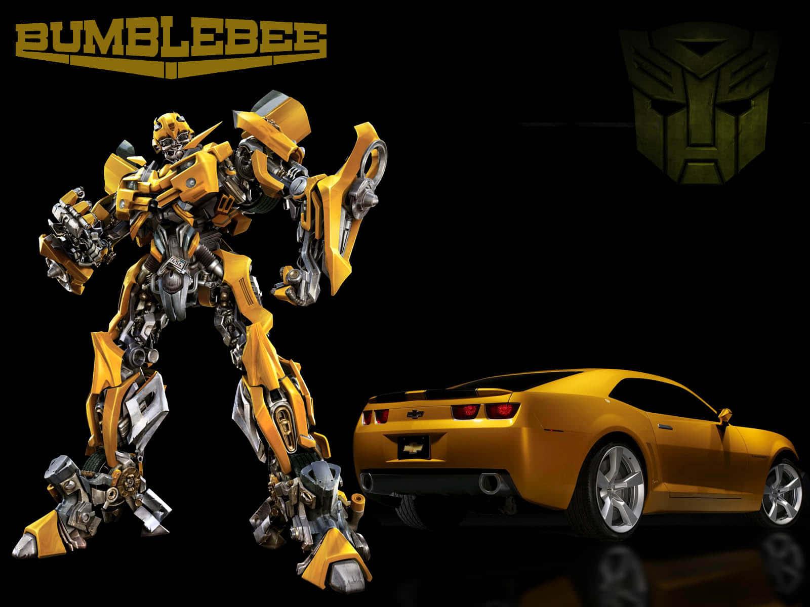 bumblebee wallpapers - bumblebee wallpapers — 1600x1200 wallpaper