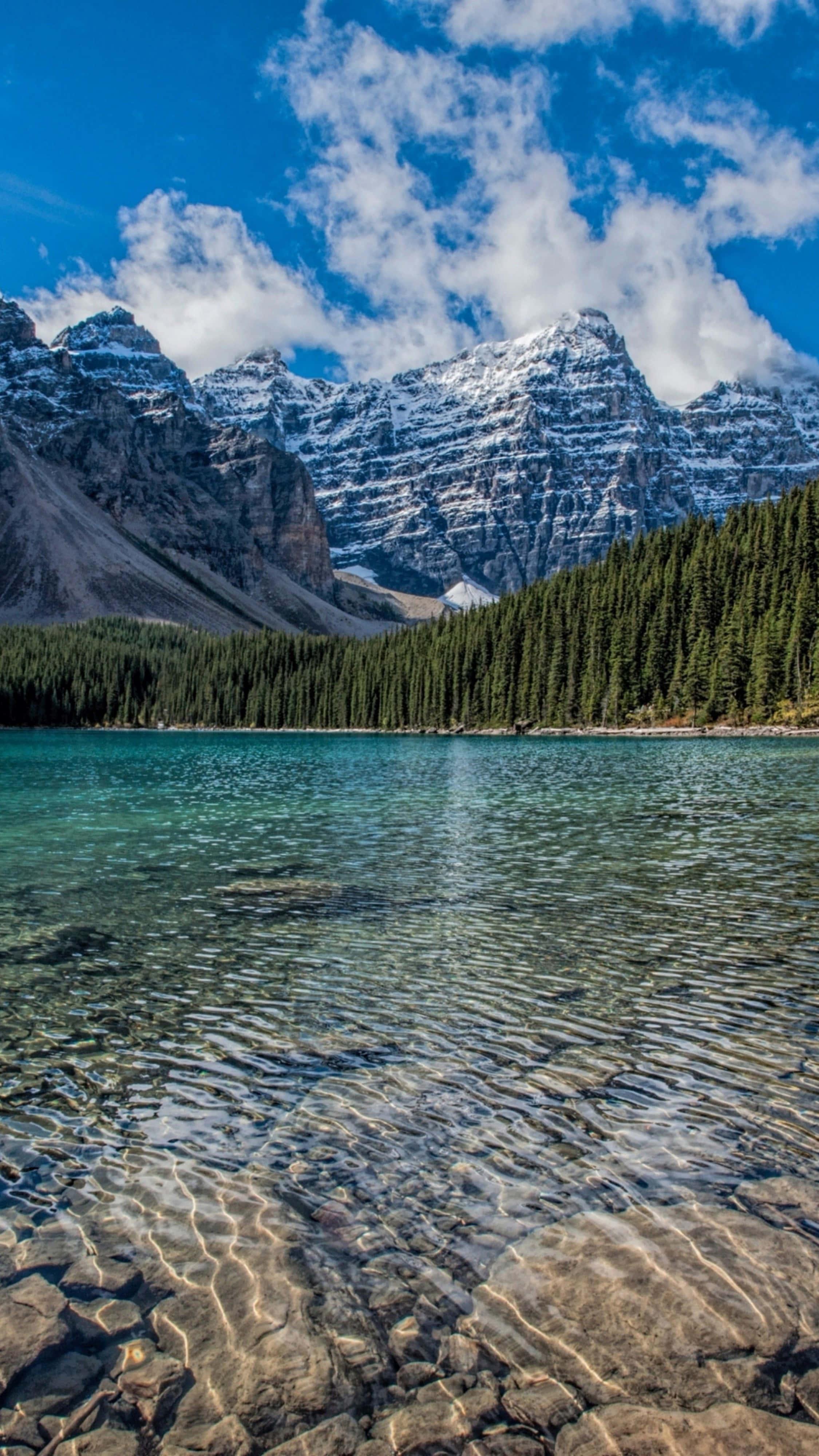 Calm Nature 4K iPhone — 2250x4000 wallpaper
