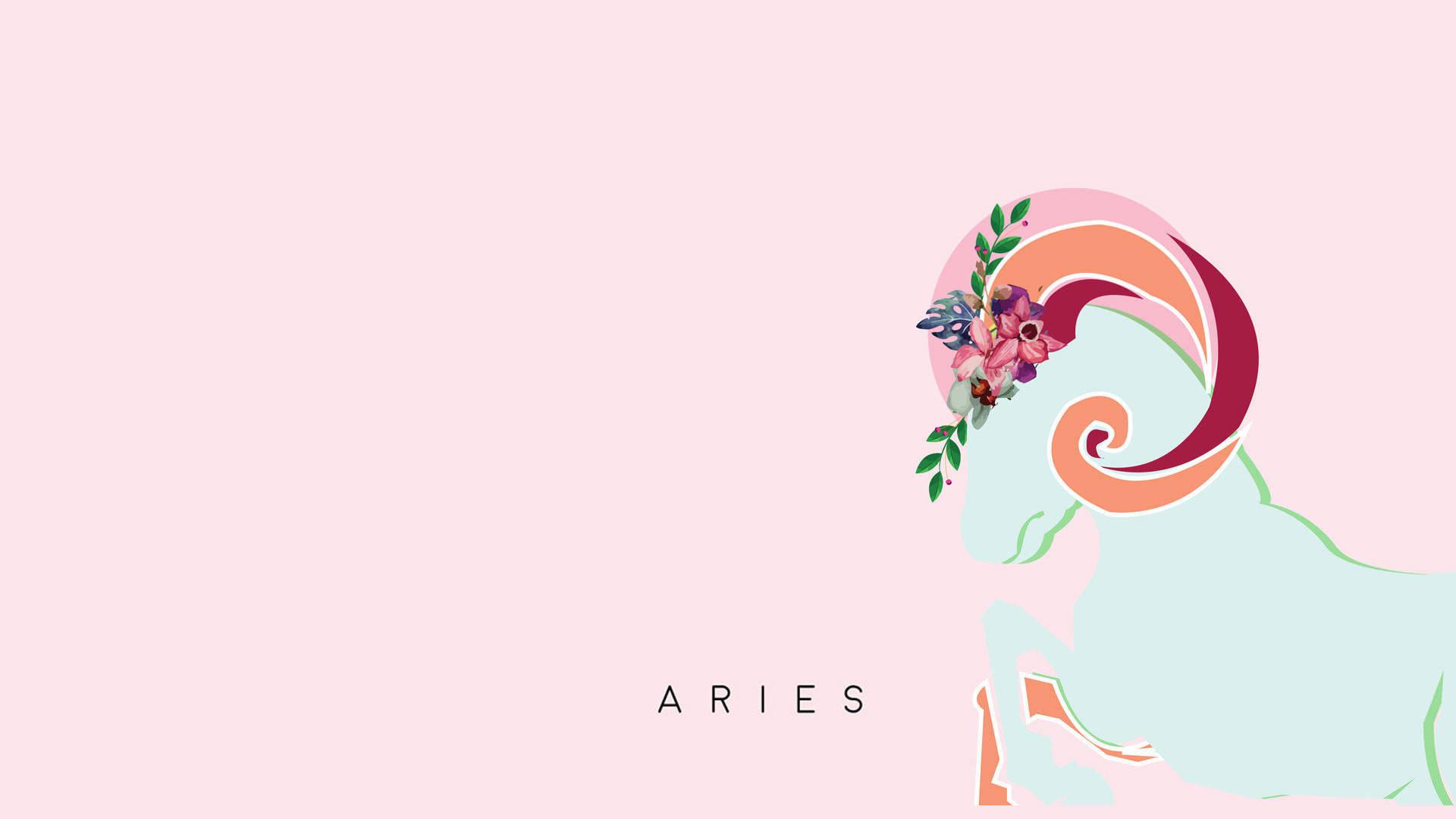 Adorable Aries Explorer on Laptop Screen — 1920x1080 wallpaper
