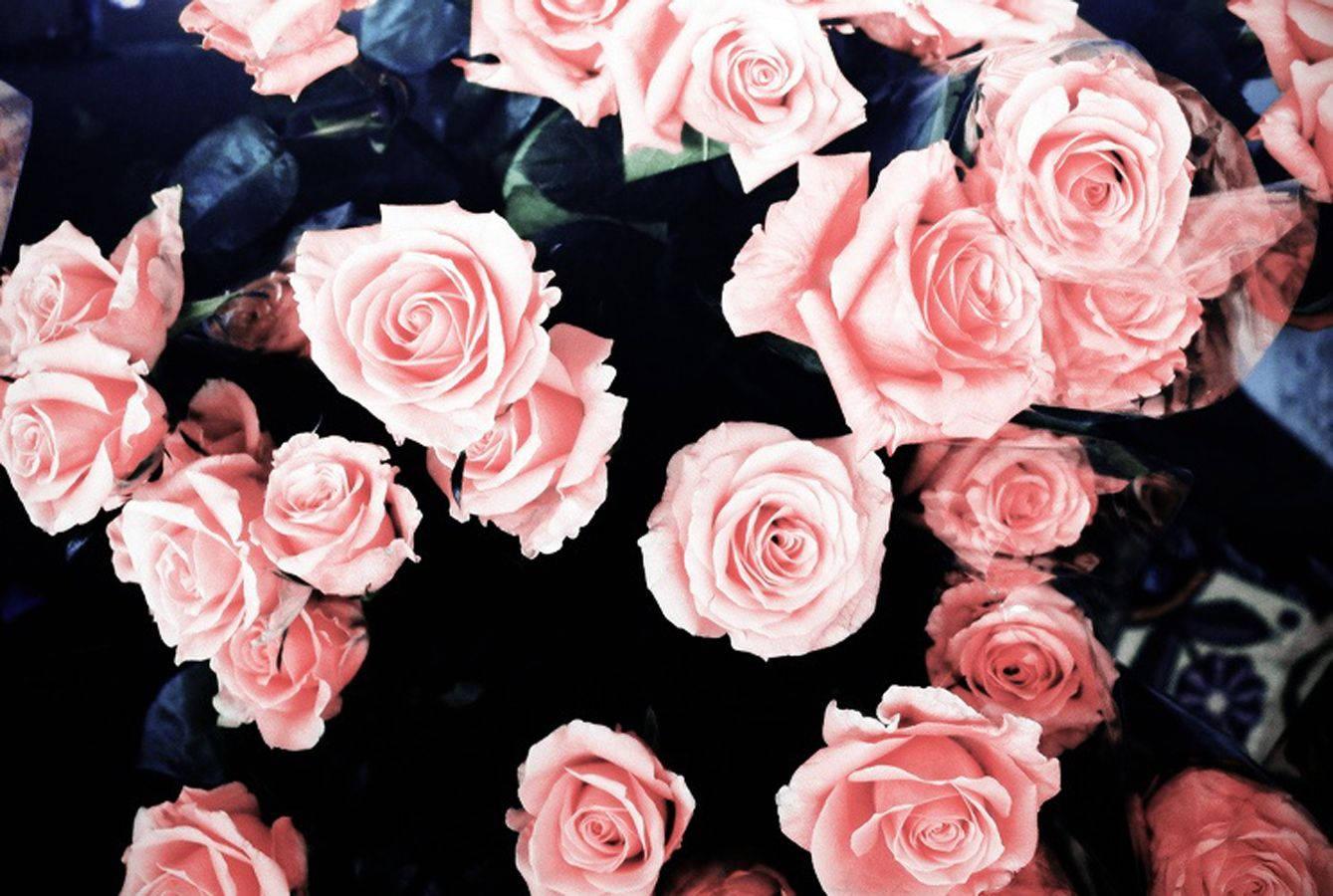Aesthetic Pink Floral Theme for Girl's Phone — 1339x900 wallpaper