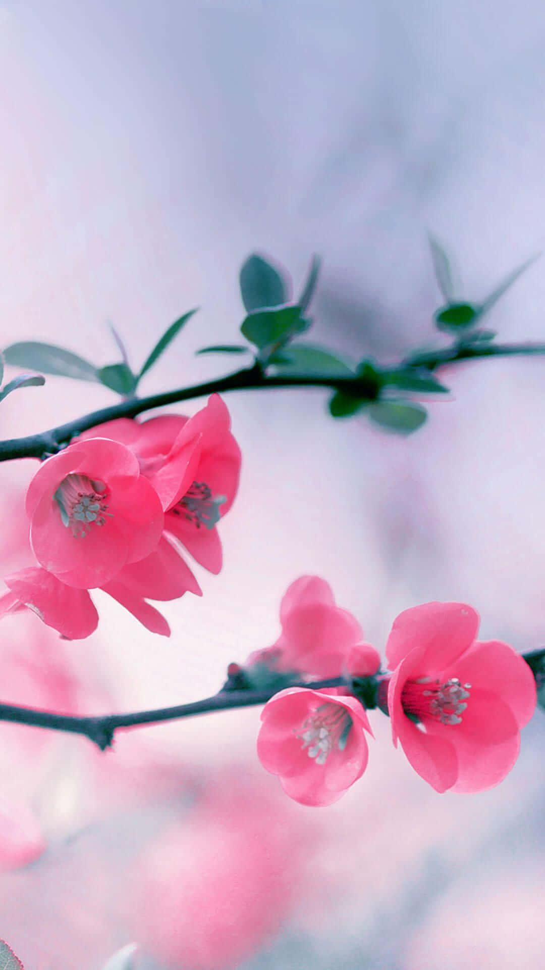 Enthralling Floral Delight Phone Wallpaper — 1080x1920 wallpaper