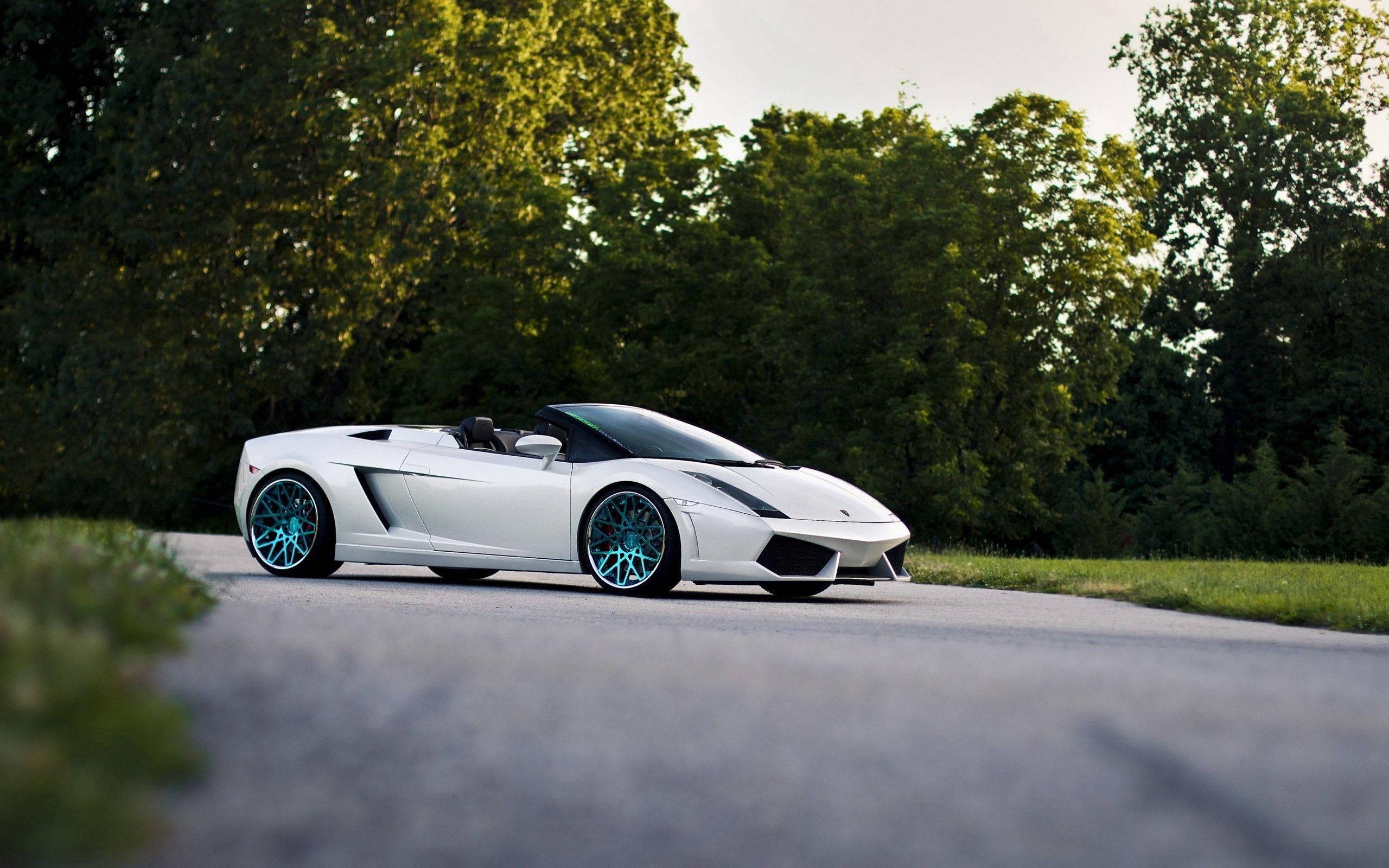 White Lamborghini Gallardo Spyder with Top Down — 2560x1600 wallpaper