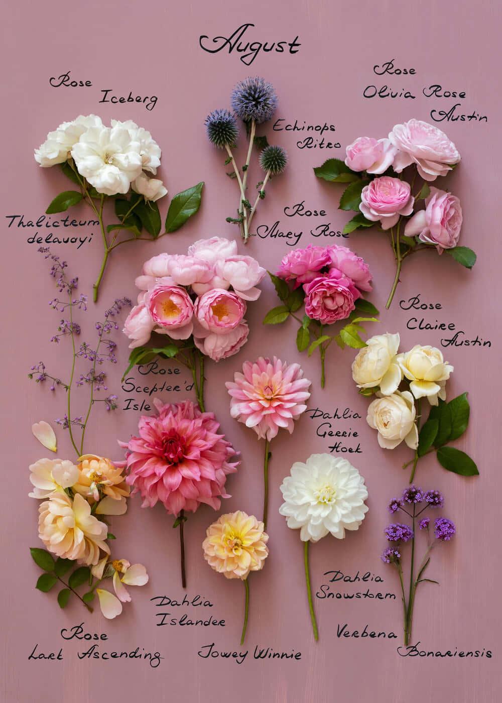 Captivating Beauty of Blooming Flowers — 1000x1400 wallpaper