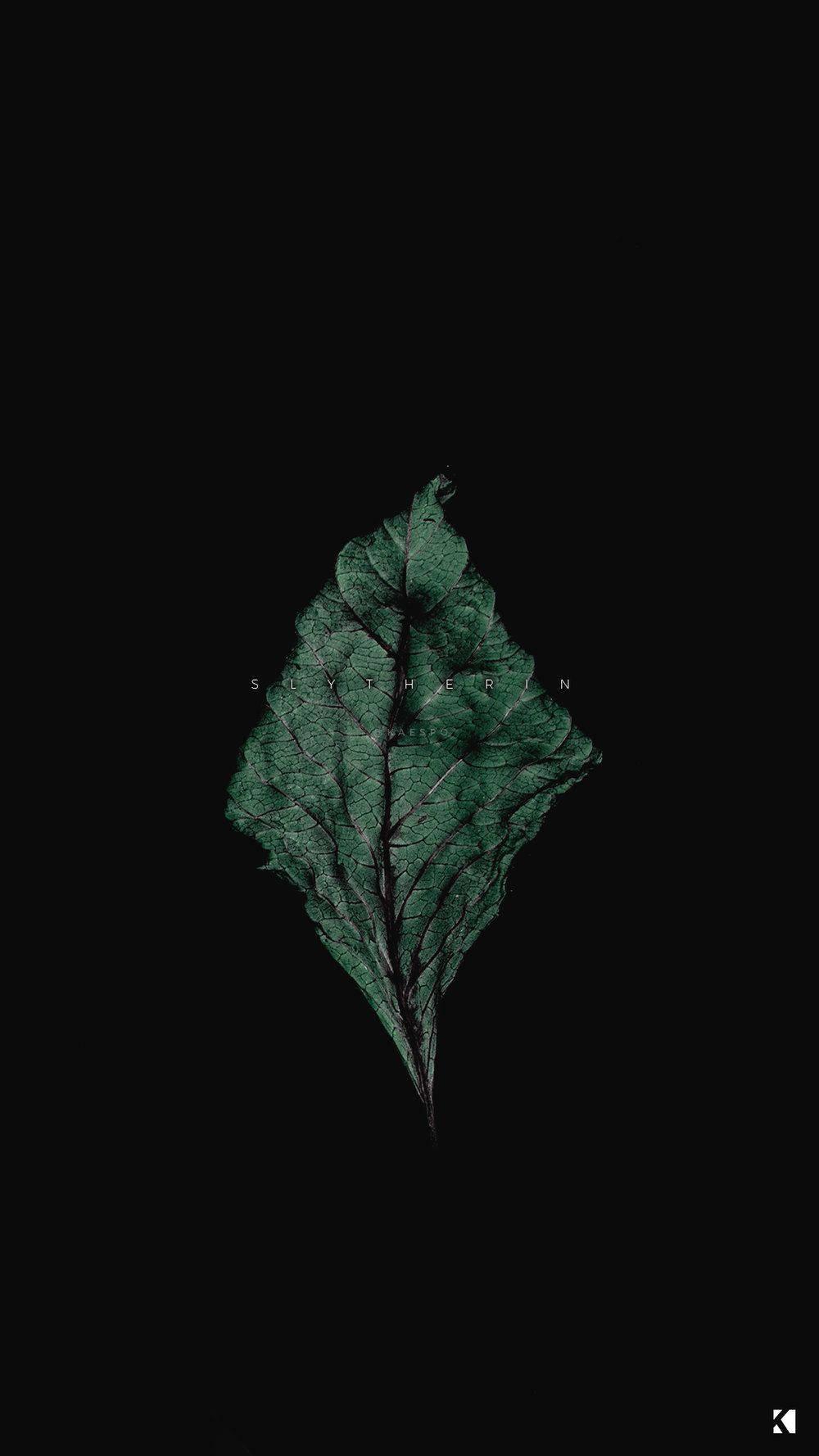 Captivating Texture of a Dry Autumn Leaf Contrasts a Dark Black Aesthetic — 1000x1778 wallpaper