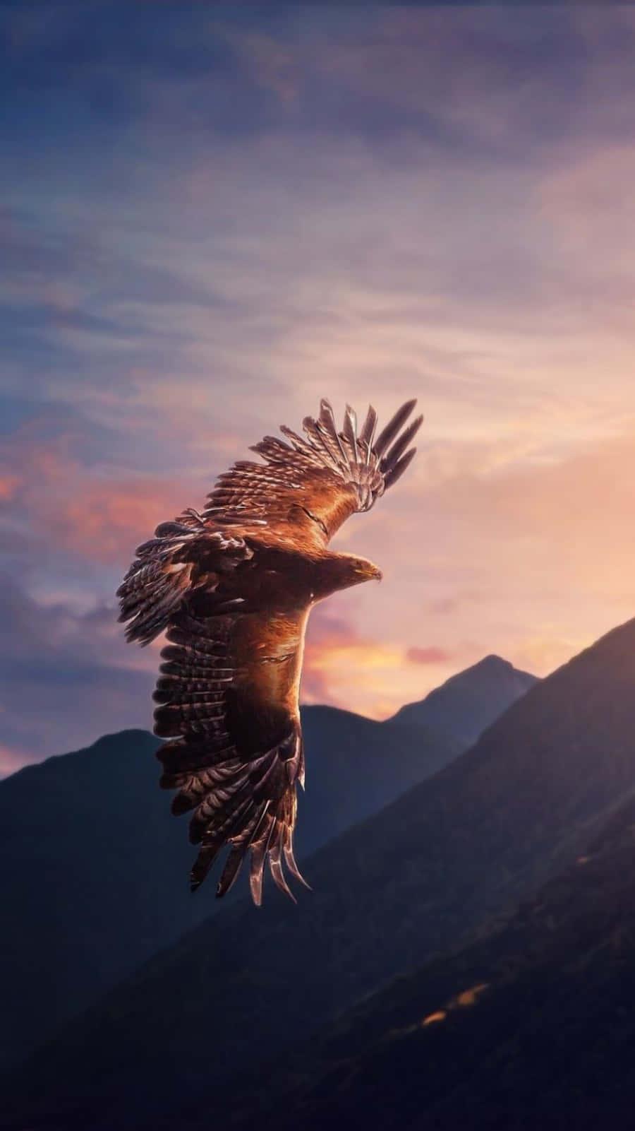 Capture the Beauty of an Eagle with this iPhone — 900x1601 wallpaper