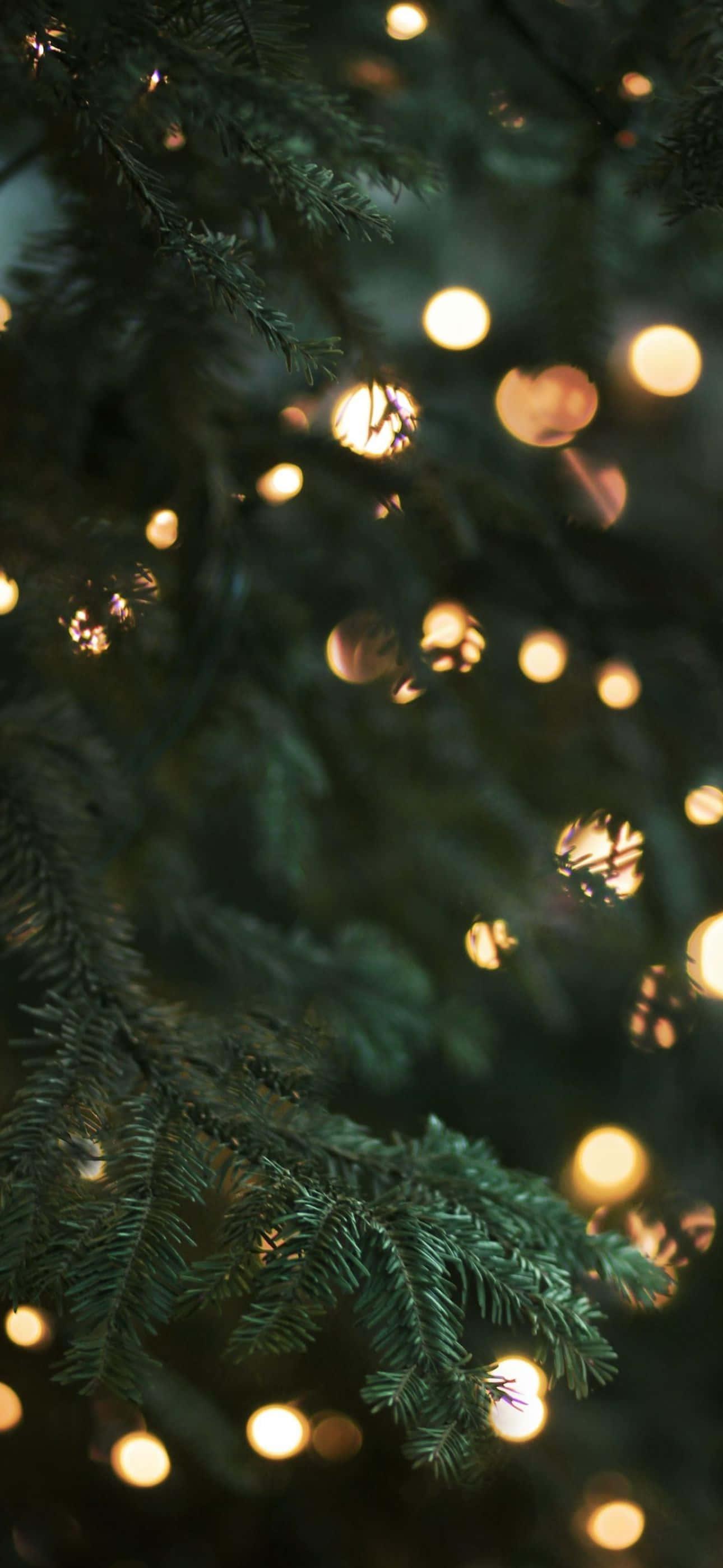 Capture the festive spirit with this beautiful Christmas iPhone wallpaper. — 1290x2796 wallpaper