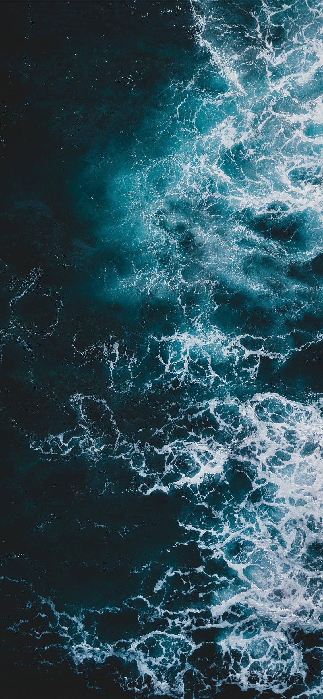 Capture the paradise of the ocean in the palm of your hand with the iPhone 11 — 1125x2436 wallpaper