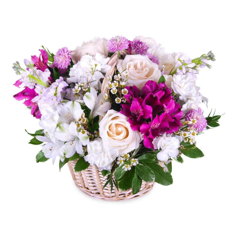 Carnation Flower Basket Picture — 1000x1000 wallpaper