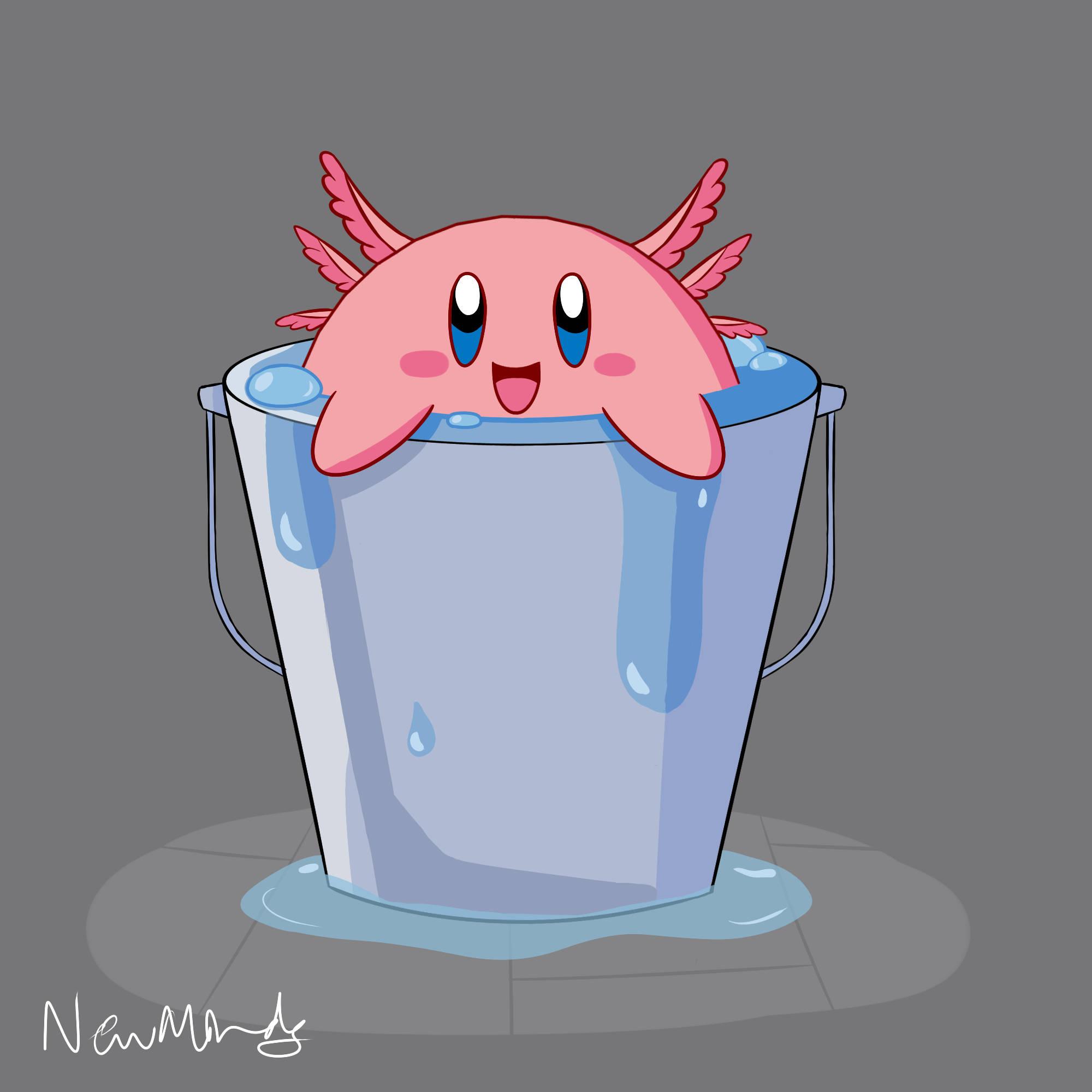 Cartoon Axolotl In A Bucket — 2000x2000 wallpaper