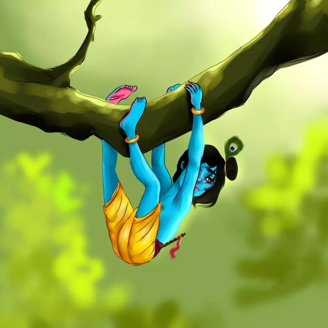 Cartoon Krishna On Tree — 1080x1080 wallpaper
