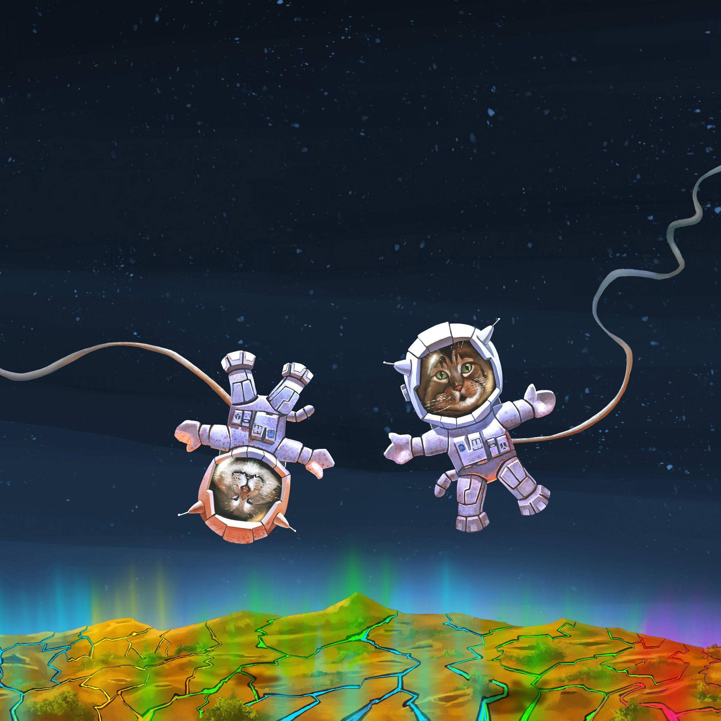 Cat Astronaut Home Screen — 2524x2524 wallpaper