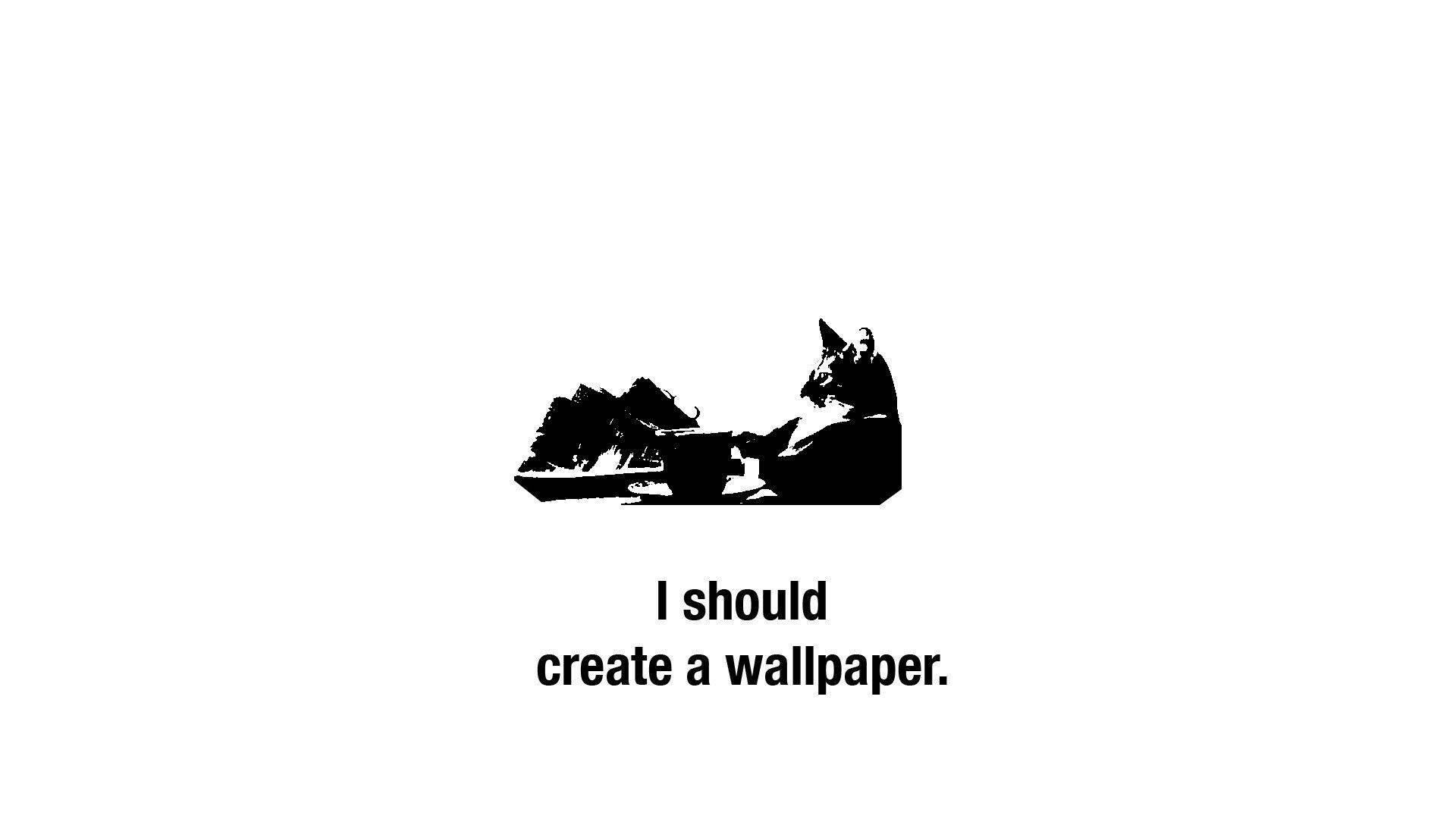 Cat Create Wallpaper Funny Meme — 1920x1080 wallpaper