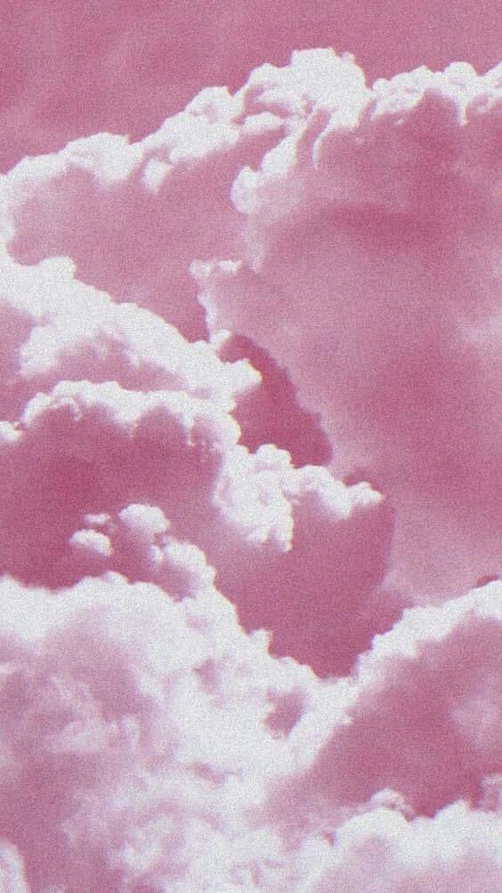Catch a taste of the cool aesthetic with this vibrant pink background — 564x1002 wallpaper