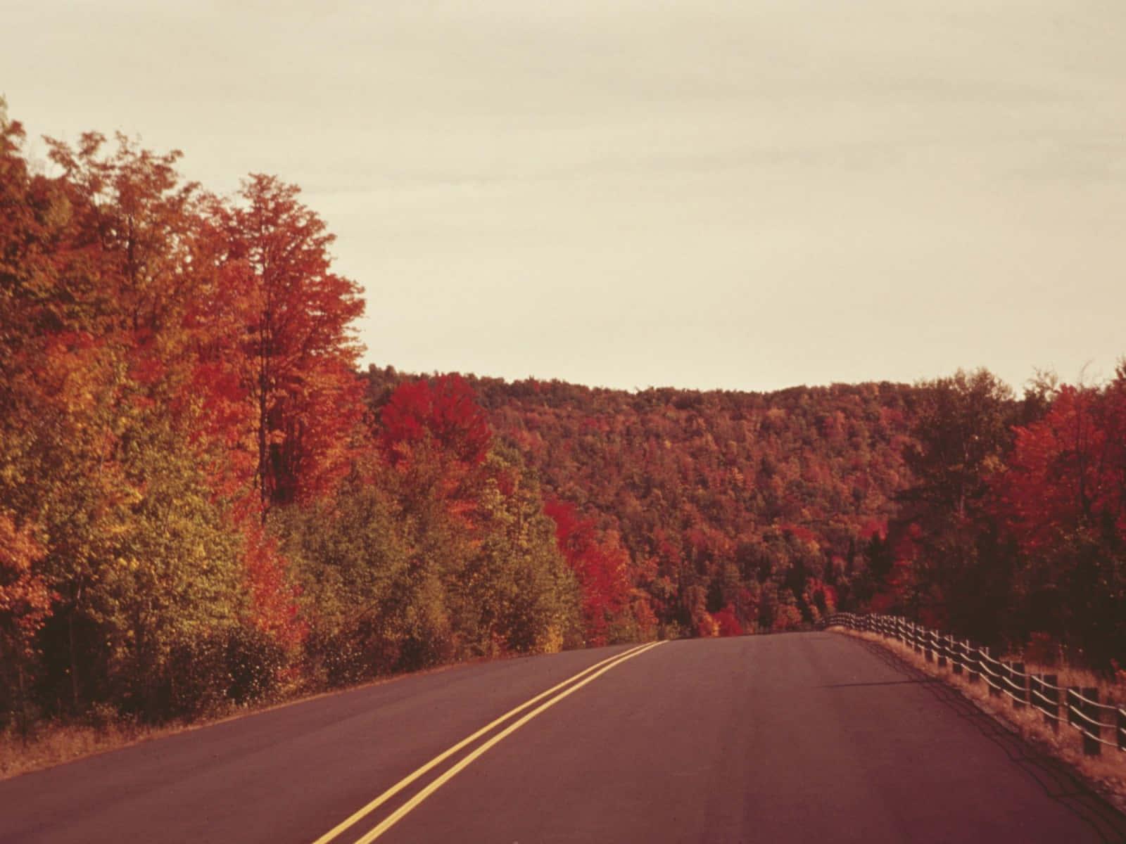 Catch the fall vibes with this colorful autumn aesthetic — 1600x1200 wallpaper