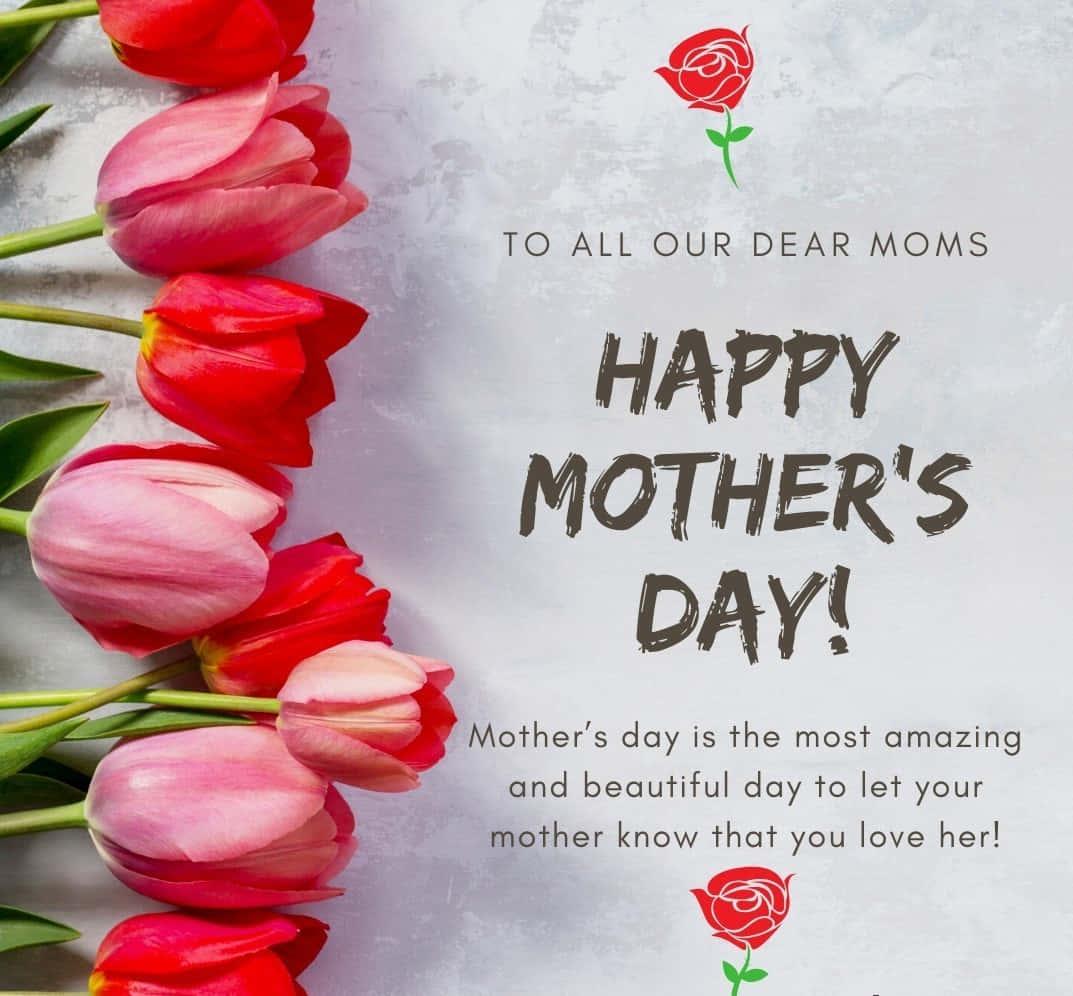 Celebrate motherhood this Mother’s Day with love and gratitude. — 1073x996 wallpaper