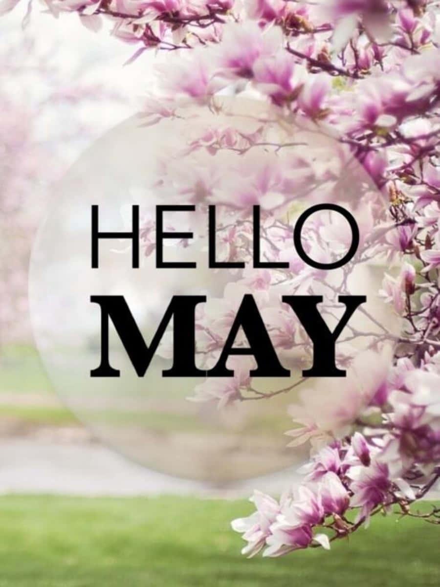 Celebrate the beauty of May with a bright and blooming flower — 900x1201 wallpaper