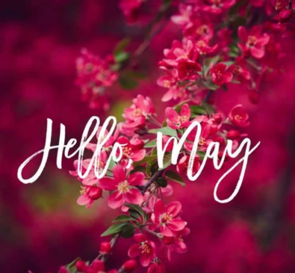 Celebrating the Arrival of May — 974x900 wallpaper