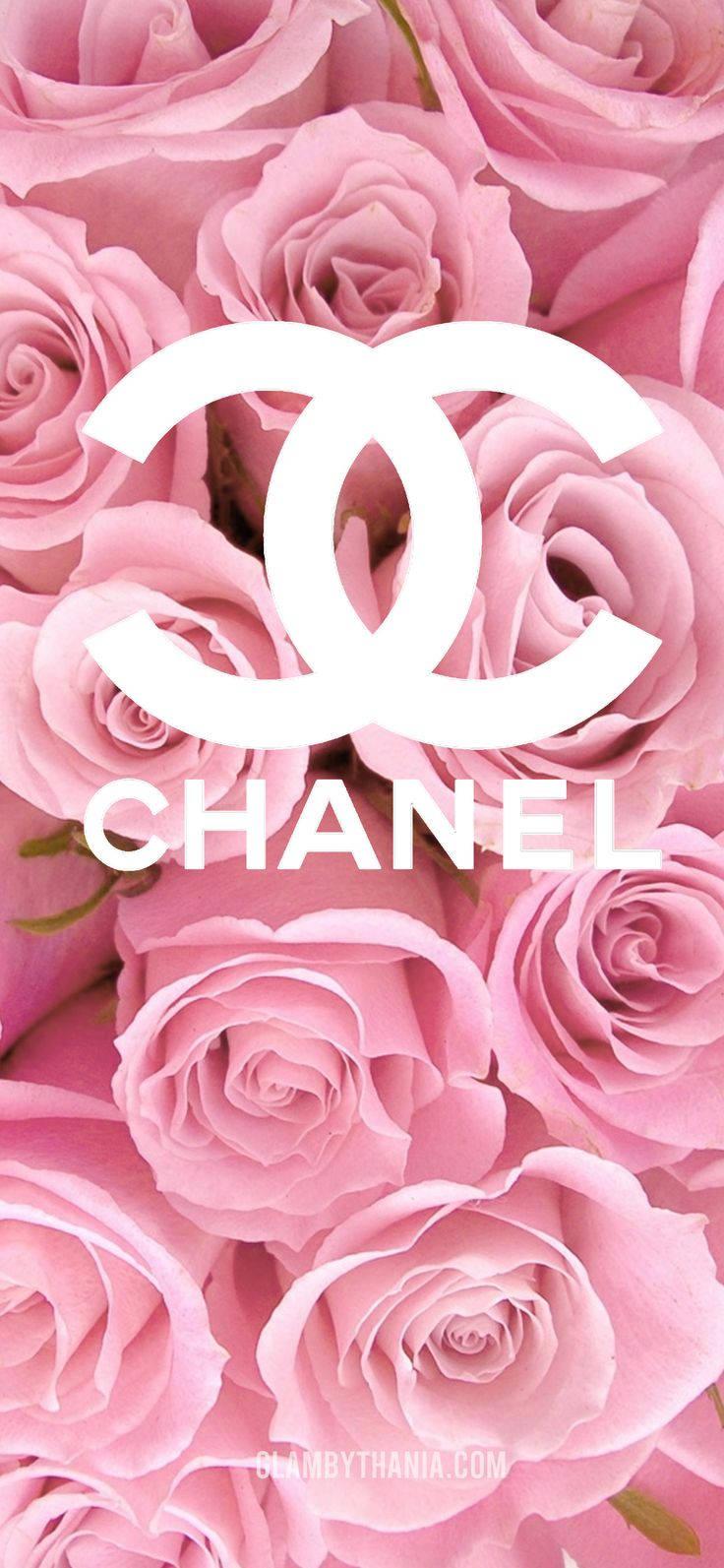Chanel Roses Girly iPhone — 736x1593 wallpaper