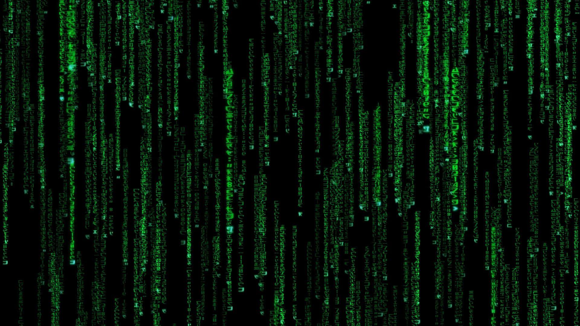 Change your Perception and Enter the Matrix — 1920x1080 wallpaper