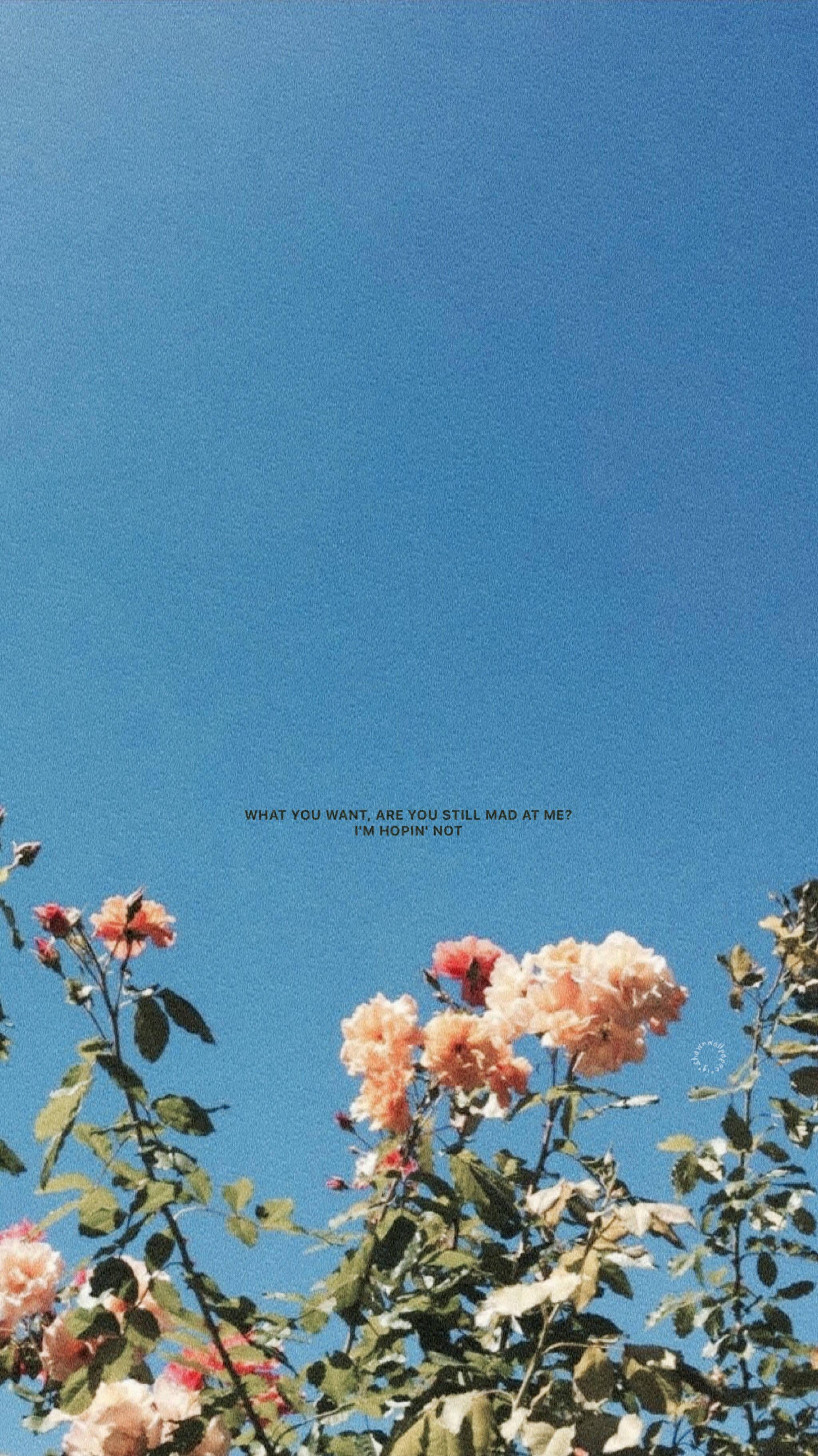 Charming Aesthetic: Peach Roses on iPhone — 2048x3644 wallpaper