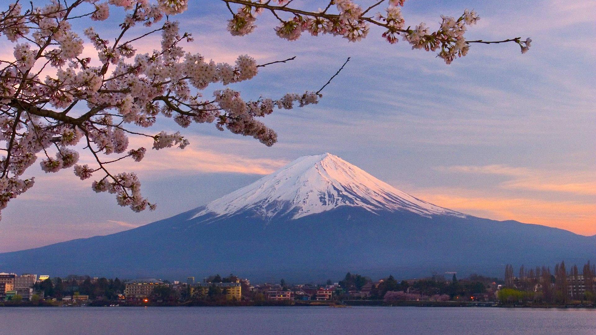 Cherry Blossom And Mount Fuji — 1920x1080 wallpaper