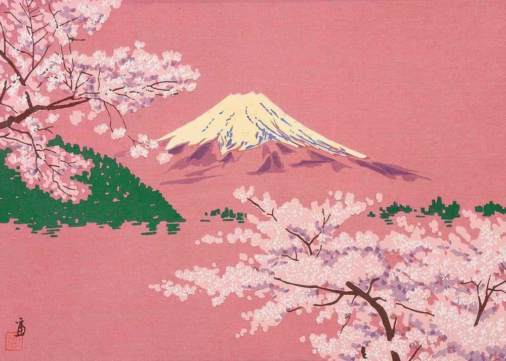 Cherry Blossom pictures — 1000x714 wallpaper