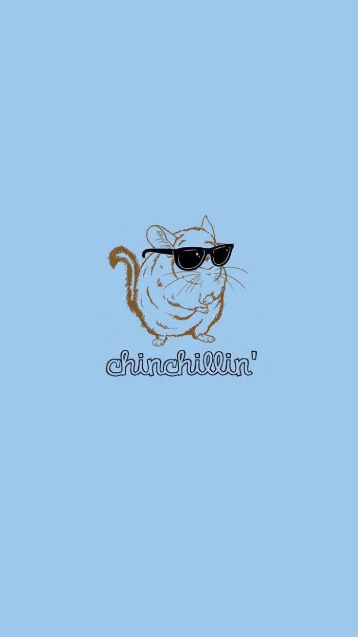 Chinchillin' Chinchilla Funny Phone — 700x1244 wallpaper