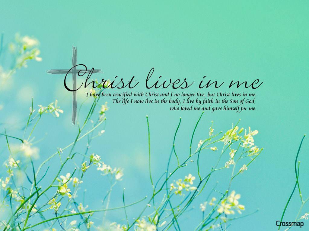 Christian Verse Teal Floral — 1024x768 wallpaper