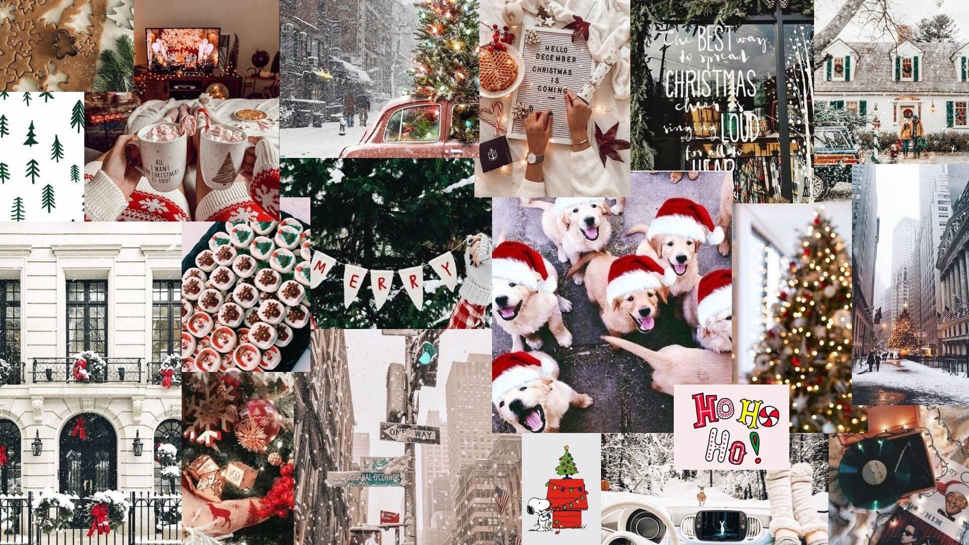 Christmas Collage With Pets — 1920x1080 wallpaper