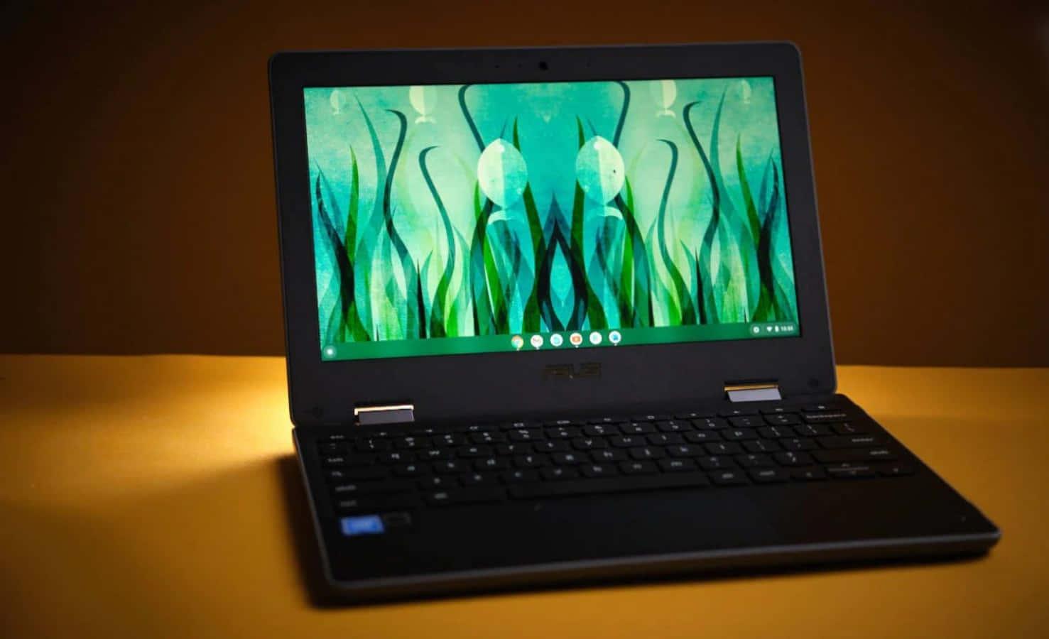 Chromebook pictures — 1477x900 wallpaper