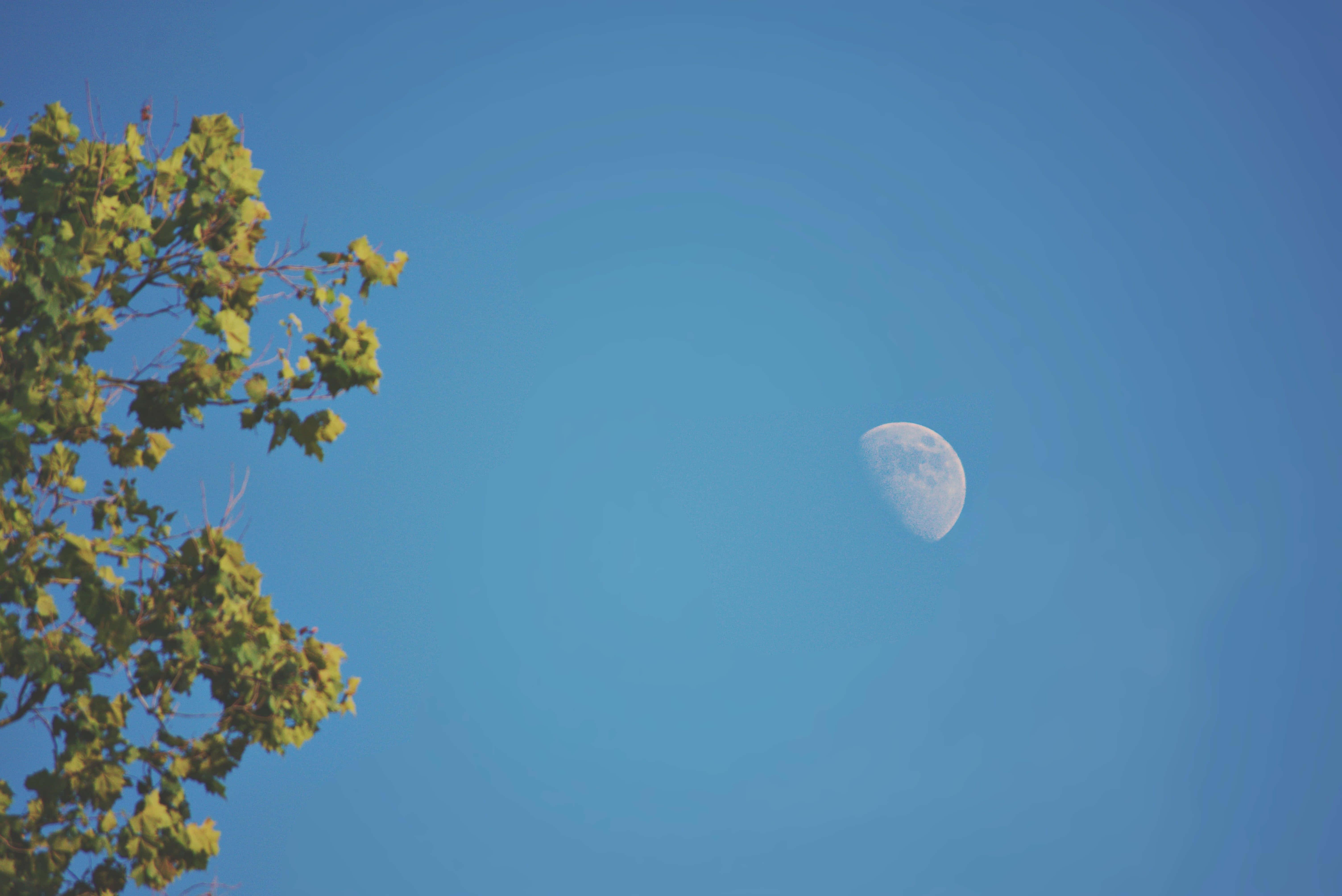 Clear Blue Sky Moon Picture — 6016x4016 wallpaper